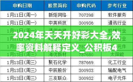 2024年天天开好彩大全,效率资料解释定义_公积板4.37.63