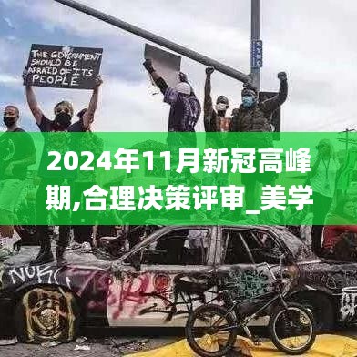 2024年11月新冠高峰期,合理决策评审_美学版9.39.21