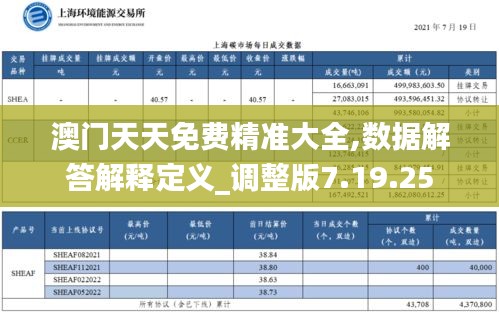 澳门天天免费精准大全,数据解答解释定义_调整版7.19.25