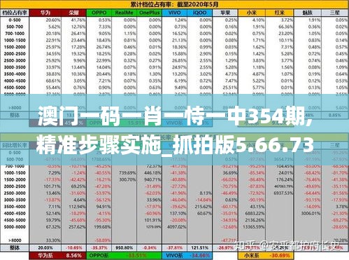 澳门一码一肖一恃一中354期,精准步骤实施_抓拍版5.66.73