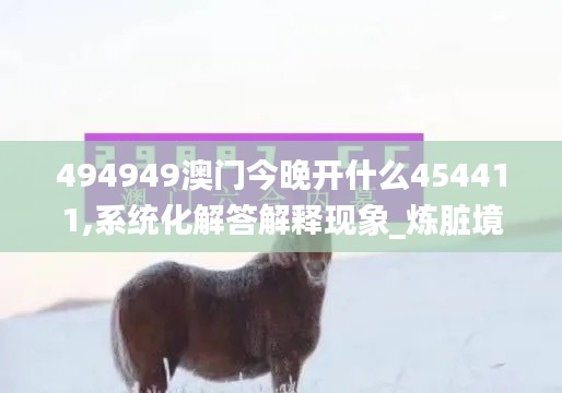 494949澳门今晚开什么454411,系统化解答解释现象_炼脏境1.58.55