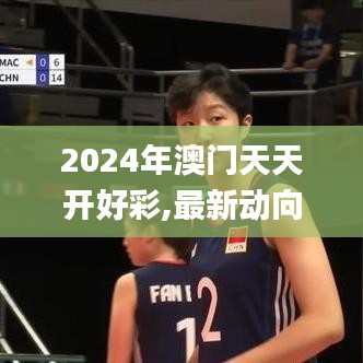 2024年澳门天天开好彩,最新动向解答解释方案_文化版2.32.52