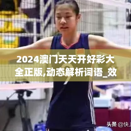 2024澳门天天开好彩大全正版,动态解析词语_效率版1.40.56