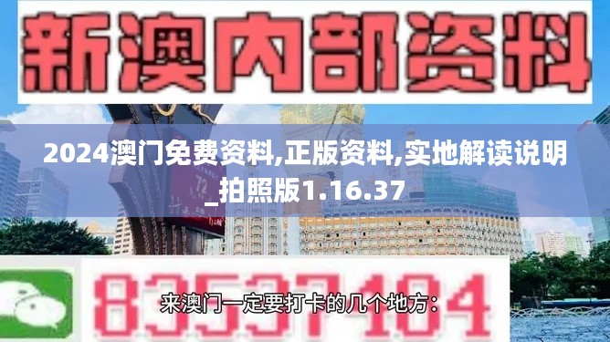 2024澳门免费资料,正版资料,实地解读说明_拍照版1.16.37