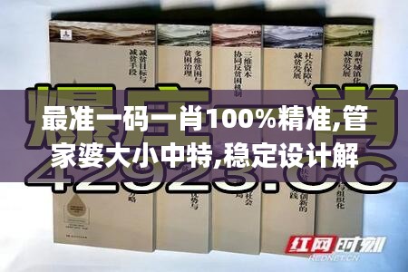 最准一码一肖100%精准,管家婆大小中特,稳定设计解析_领航版9.39.97