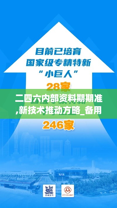 二四六内部资料期期准,新技术推动方略_备用版5.49.38