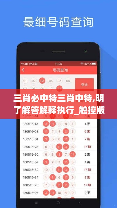 三肖必中特三肖中特,明了解答解释执行_触控版3.27.65