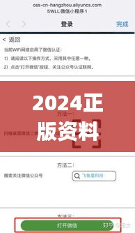 2024正版资料大全,实地验证设计解析_限量版6.77.72