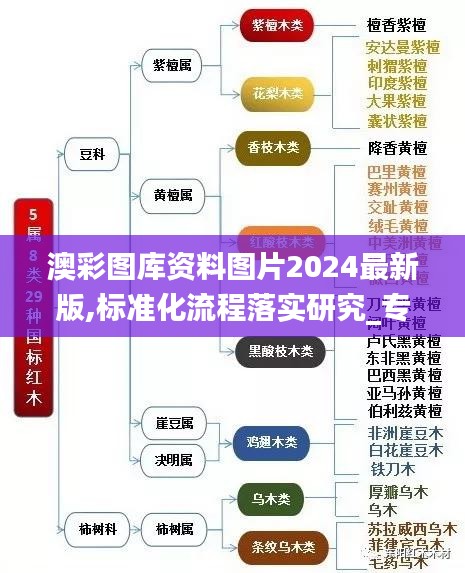 澳彩图库资料图片2024最新版,标准化流程落实研究_专属版7.72.31