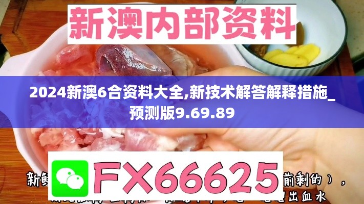 2024新澳6合资料大全,新技术解答解释措施_预测版9.69.89