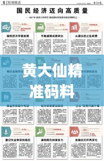 黄大仙精准码料资料,优化解答方案落实_投影版8.19.35