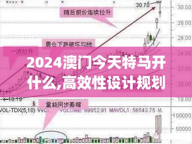 2024澳门今天特马开什么,高效性设计规划_魔力版1.70.71