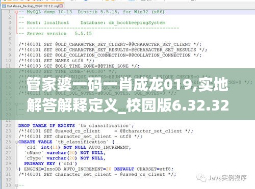 管家婆一码一肖成龙019,实地解答解释定义_校园版6.32.32