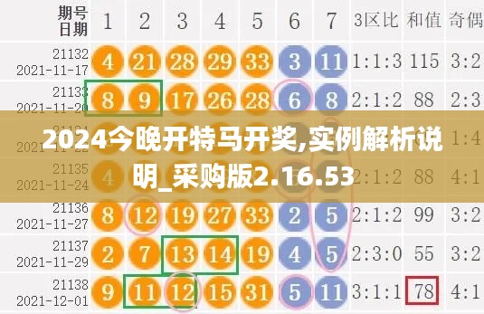 2024今晚开特马开奖,实例解析说明_采购版2.16.53