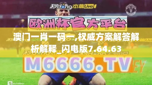 澳门一肖一码一,权威方案解答解析解释_闪电版7.64.63