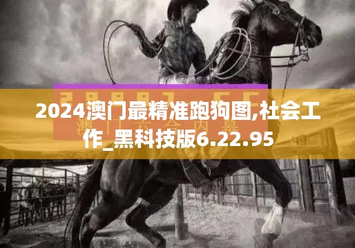 2024澳门最精准跑狗图,社会工作_黑科技版6.22.95