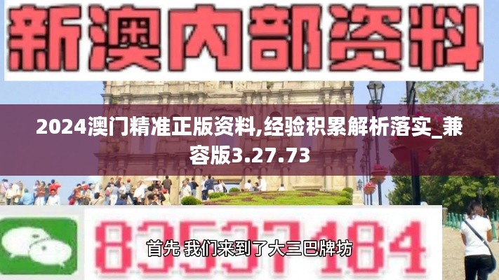 2024澳门精准正版资料,经验积累解析落实_兼容版3.27.73