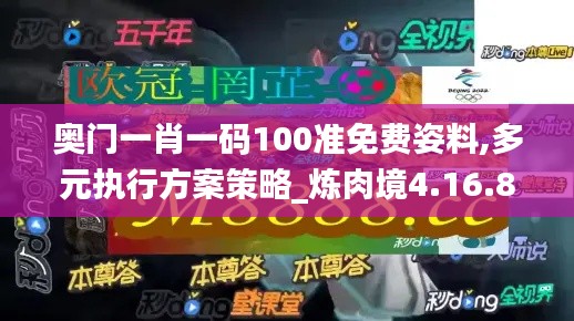 奥门一肖一码100准免费姿料,多元执行方案策略_炼肉境4.16.82