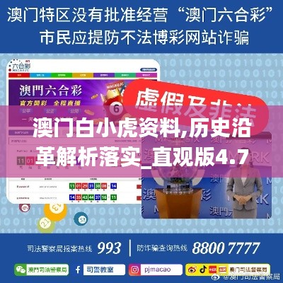 澳门白小虎资料,历史沿革解析落实_直观版4.78.80