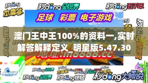 澳门王中王100%的资料一,实时解答解释定义_明星版5.47.30