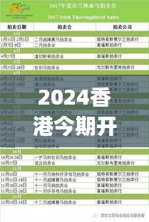 2024香港今期开奖号码马会,精准执行策略落实_商务版6.34.23