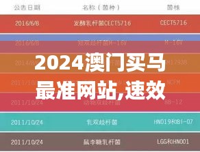 2024澳门买马最准网站,速效解决方案评估_百搭版2.30.91