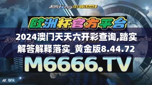 2024澳门天天六开彩查询,踏实解答解释落实_黄金版8.44.72