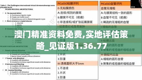 澳门精准资料免费,实地评估策略_见证版1.36.77