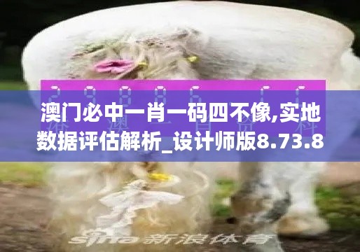 澳门必中一肖一码四不像,实地数据评估解析_设计师版8.73.81