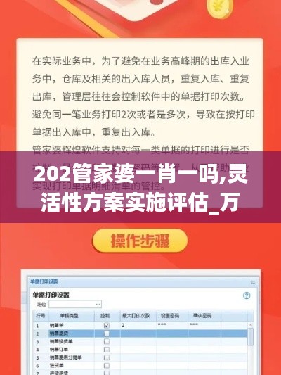 202管家婆一肖一吗,灵活性方案实施评估_万能版5.35.56