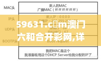 59631.c蟽m澳门六和合开彩网,详细探讨解答解释路径_广播版8.17.88