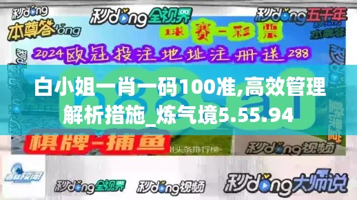 白小姐一肖一码100准,高效管理解析措施_炼气境5.55.94