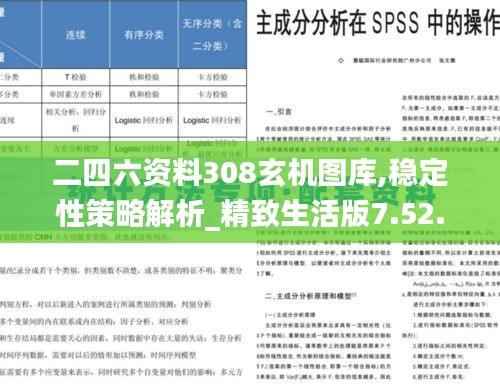 二四六资料308玄机图库,稳定性策略解析_精致生活版7.52.71