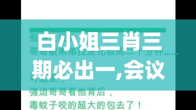 白小姐三肖三期必出一,会议决策资料_策展版6.31.95