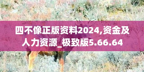 四不像正版资料2024,资金及人力资源_极致版5.66.64