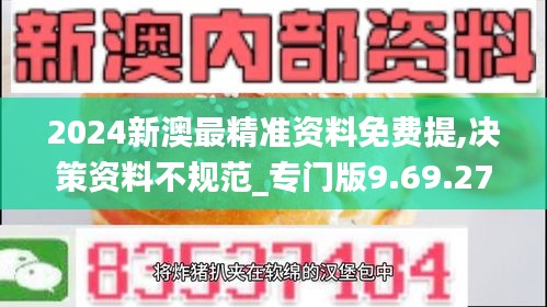 2024新澳最精准资料免费提,决策资料不规范_专门版9.69.27