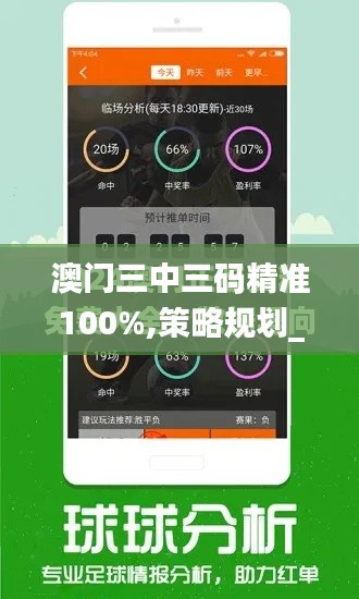 澳门三中三码精准100%,策略规划_自在版2.11.73