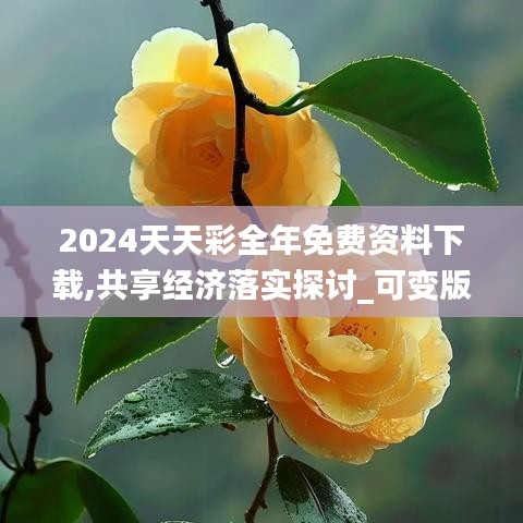 2024天天彩全年免费资料下载,共享经济落实探讨_可变版3.31.93