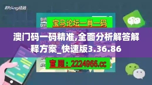 澳门码一码精准,全面分析解答解释方案_快速版3.36.86