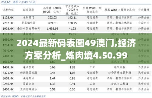 2024最新码表图49澳门,经济方案分析_炼肉境4.50.99