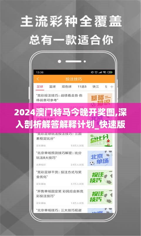 2024澳门特马今晚开奖图,深入剖析解答解释计划_快速版6.27.56