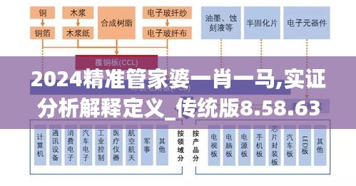 2024精准管家婆一肖一马,实证分析解释定义_传统版8.58.63