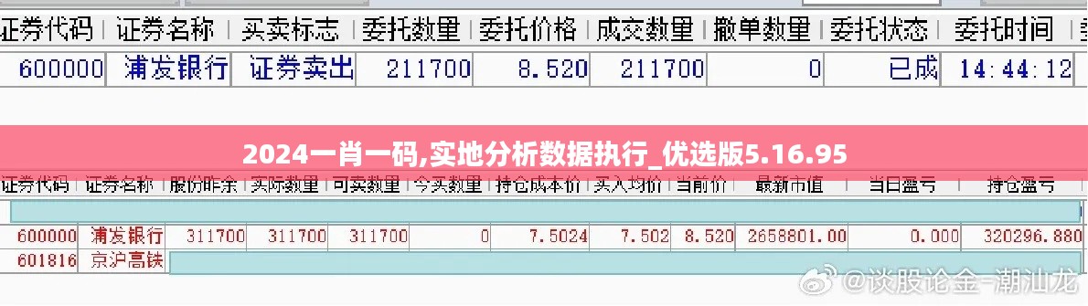 2024一肖一码,实地分析数据执行_优选版5.16.95