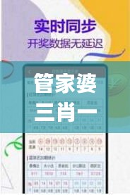 管家婆三肖一码,决策资料收集_悬浮版5.28.50