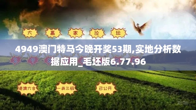 4949澳门特马今晚开奖53期,实地分析数据应用_毛坯版6.77.96