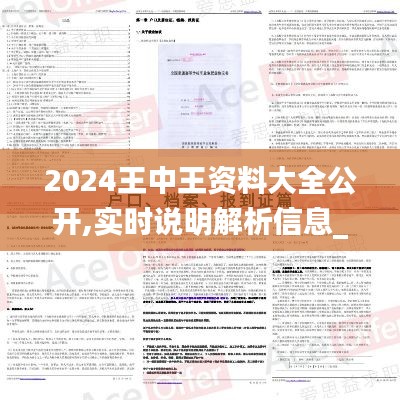 2024王中王资料大全公开,实时说明解析信息_创意设计版7.64.29