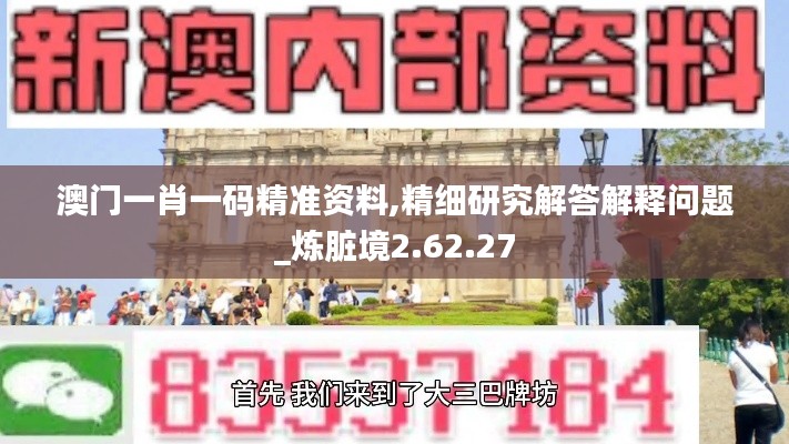 澳门一肖一码精准资料,精细研究解答解释问题_炼脏境2.62.27