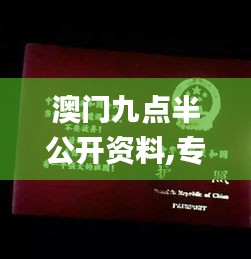 澳门九点半公开资料,专业解答解释落实_特供版6.35.33