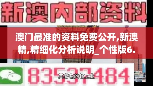 澳门最准的资料免费公开,新澳精,精细化分析说明_个性版6.73.32