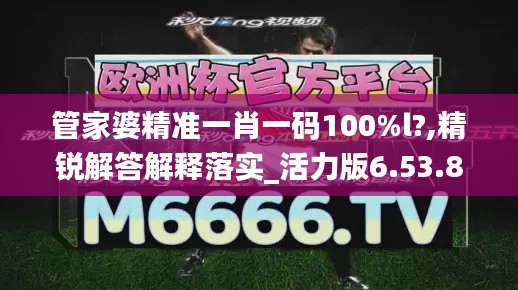 管家婆精准一肖一码100%l?,精锐解答解释落实_活力版6.53.81